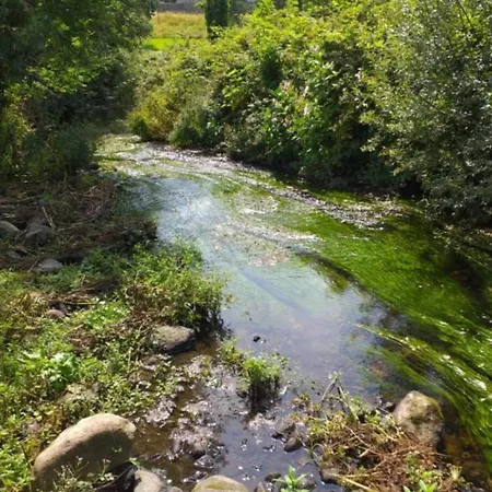 Glamping Hut,r95t3ct