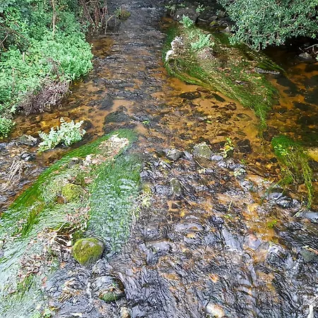 Glamping Hut,r95t3ct Camping