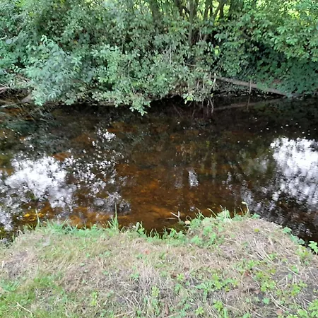 Camping Glamping Hut,r95t3ct