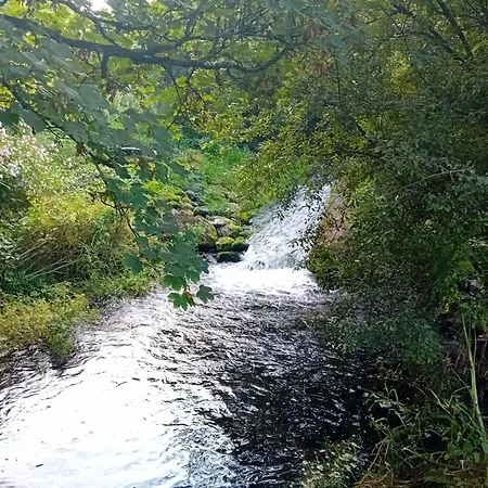 Glamping Hut,r95t3ct