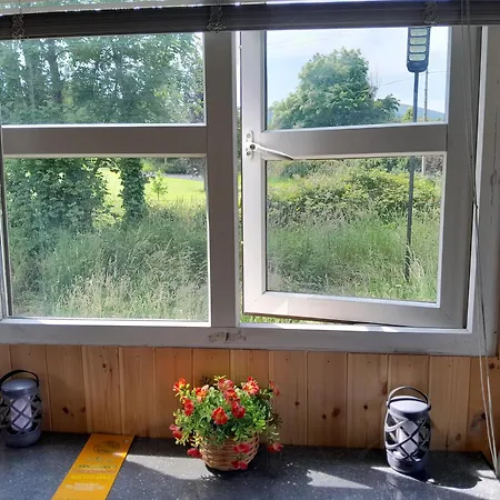 Campingplads Glamping Hut,r95t3ct St Mullins