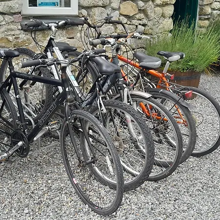 Glamping Hut,r95t3ct *