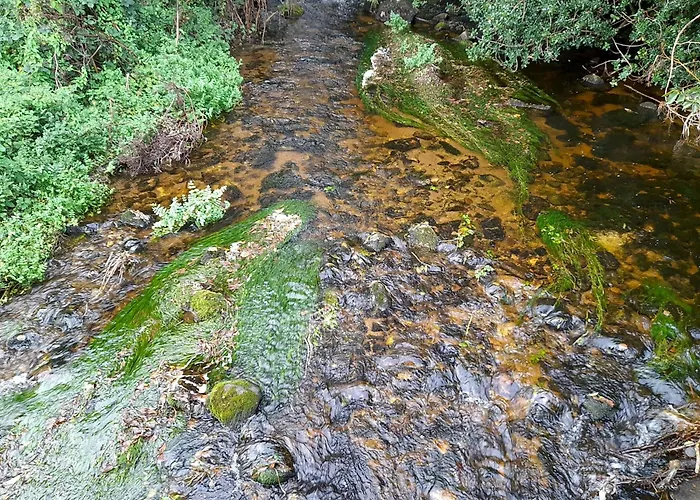 Glamping Hut,r95t3ct 营地